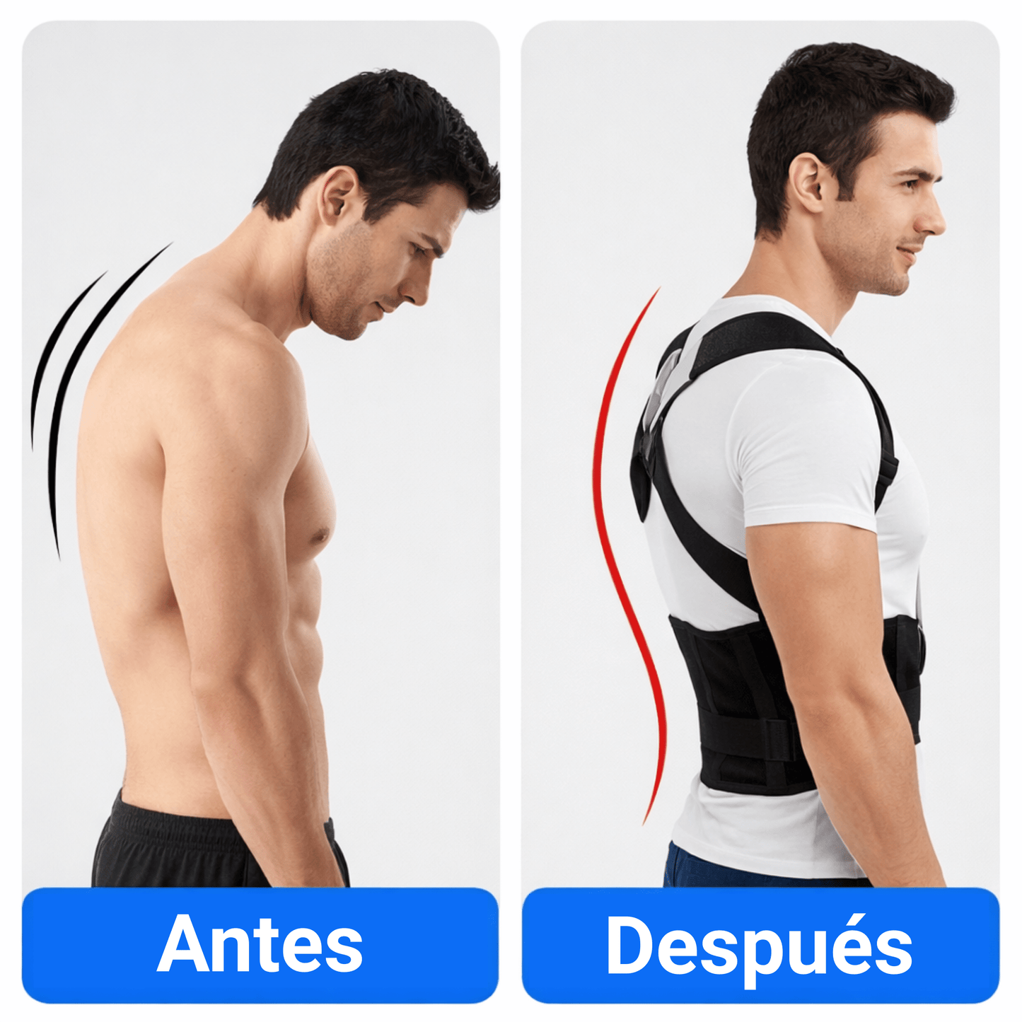 AlignPro - Corrector De Postura Ortopédico